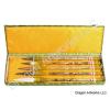 Set of Five mixed Hair Calligraphy Brushes